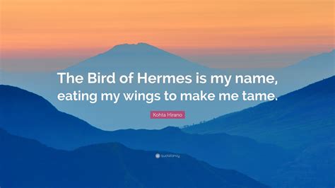 the bird of hermes|the bird of Hermes is my name eating my wings.